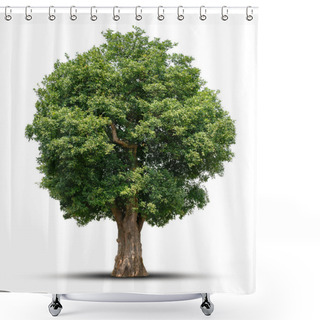 Personality  Big Tree Isolate On White Background Shower Curtains