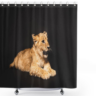 Personality  Cute Lion Cub Lying Isolated On Black Shower Curtains