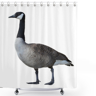 Personality  Canadian Goose Shower Curtains