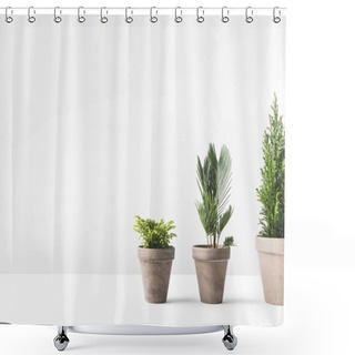 Personality  Beautiful Various Green Home Plants Growing In Pots On White  Shower Curtains