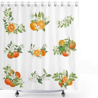 Personality  Hand Drawn Bouquets And Compositions Of Blooming Mandarin Tree Branches Isolated On A White Background Shower Curtains