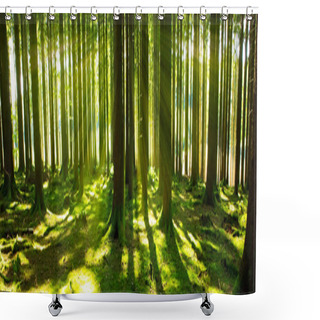 Personality  Bright Sun In The Forest  . Shower Curtains