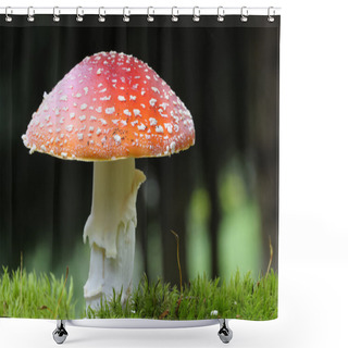 Personality  Fly Agaric Shower Curtains