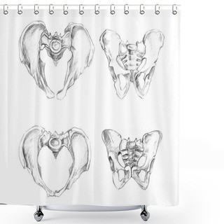 Personality  Pelvis 2 Angels (male At The Top And Female At The Bottom Of Drawing) Shower Curtains