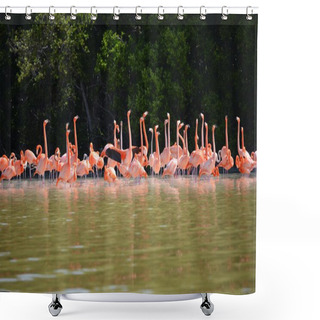 Personality  Pink Flamingos In Mexico Shower Curtains