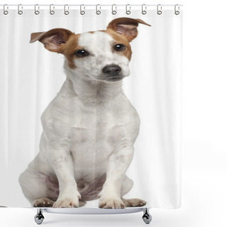 Personality  Jack Russell Terrier, 10 Months Old, Sitting In Front Of White Background Shower Curtains