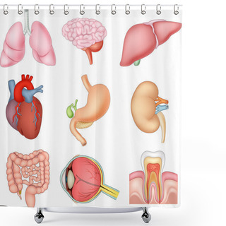 Personality  Illustration Of Internal Organs Anatomy Shower Curtains