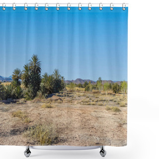 Personality  Ouarzazate. Morocco Palm Trees Next To A Little Oasis In The Sahara Desert, Morocco Shower Curtains