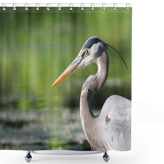 Personality  Great Blue Heron Fishing Shower Curtains