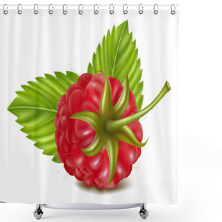 Personality  Ripe Raspberry. Shower Curtains