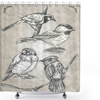 Personality  Set Of Birds. Vector Illustration Shower Curtains