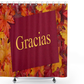 Personality  Spanish Thank You Greeting Card Shower Curtains