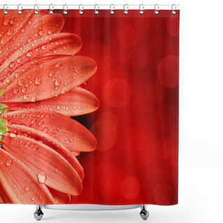 Personality  Spring Flower Background Shower Curtains