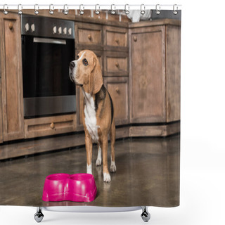 Personality  Hungry Beagle Dog Shower Curtains
