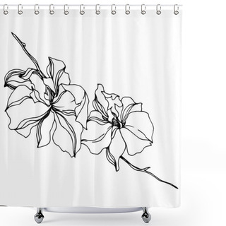 Personality  Orchid Floral Botanical Flowers. Black And White Engraved Ink Art. Isolated Orchids Illustration Element. Shower Curtains