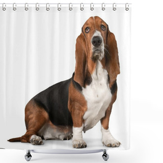 Personality  Basset Hound Dog Shower Curtains