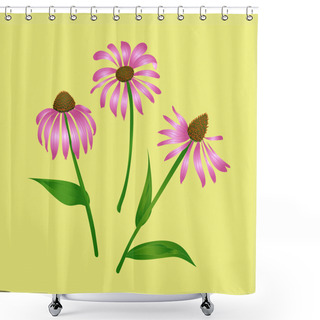 Personality  Echinacea Purpurea Shower Curtains