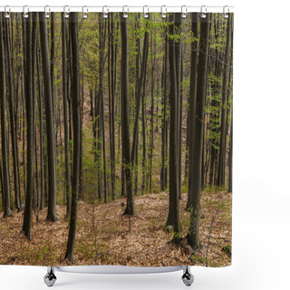 Personality  Trees On Hill In Mountain Forest In Spring Shower Curtains