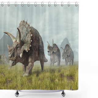 Personality  Group Of Triceratops Walks In The Valley . This Is A 3d Render Illustration . Shower Curtains