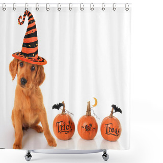 Personality  Halloween Puppy Shower Curtains
