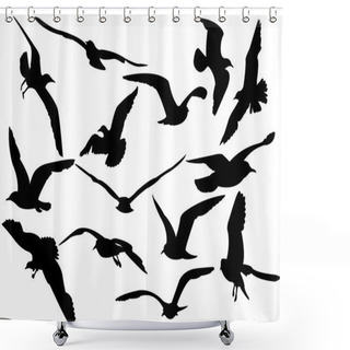 Personality  Flying Sea-gulls Vector Illustration Shower Curtains