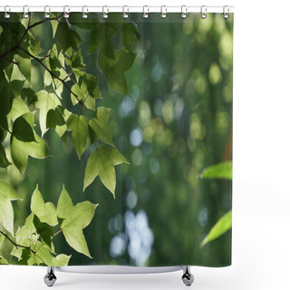 Personality  Close-up Shot Of Beautiful Blossoming Leaves Shower Curtains