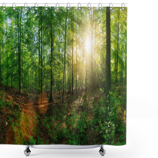 Personality  Panorama Of A Beautiful Forest At Sunrise  Shower Curtains
