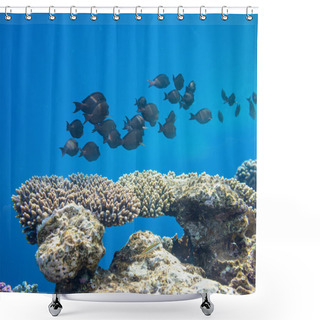 Personality  Coral Fish Shower Curtains