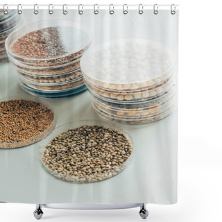Personality  Selective Focus Of Various Grains In Plastic Containers In Modern Biotechnology Laboratory  Shower Curtains