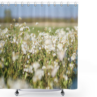 Personality  Beautiful Blooming Flowers On A Large Spring Meadow. April Flower In The Sun. Stock Background In Nature With Green Grass Shower Curtains