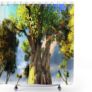 Personality  African Baobabs Shower Curtains