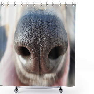 Personality  Dog Nose Shower Curtains