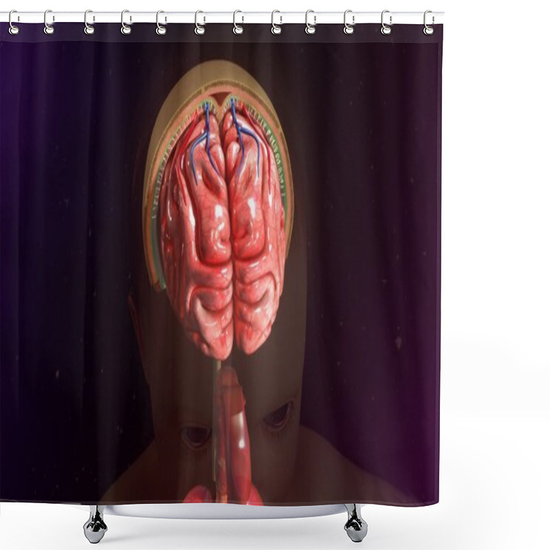 Personality  Human Brain Meninges Shower Curtains