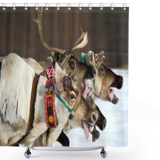 Personality  North Of Russia, Raindeers Racing Motion Blur Shower Curtains