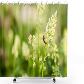 Personality  Reseda With Bug Shower Curtains