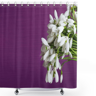 Personality  Beautiful Snowdrops On Purple Background Shower Curtains
