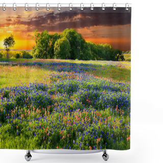 Personality  Bluebonnets And Indian Paintbrushes In Late Afternoon Light Shower Curtains