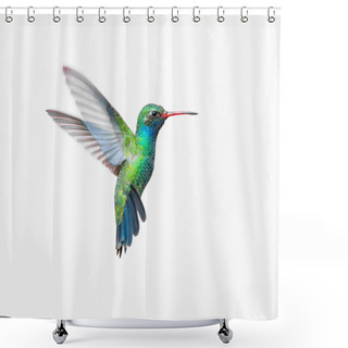 Personality  Broad Billed Hummingbird. Shower Curtains