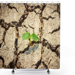 Personality  Green Plant Growing Out Of Cracks In The Earth Shower Curtains