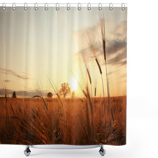 Personality  Sunset In  Wheat Field Shower Curtains
