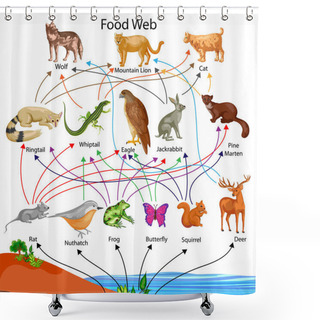 Personality  Education Chart Of Biology For Food Web Diagram Shower Curtains