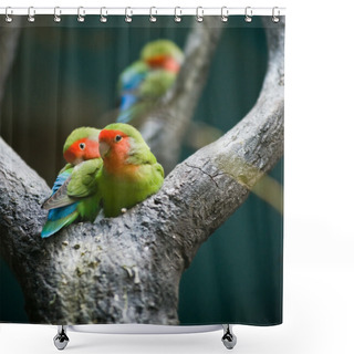Personality  Rosy-faced Lovebirds Shower Curtains