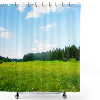 Personality  Green Valley With Trees And Cloudy Sky In Durmitor Massif, Montenegro Shower Curtains