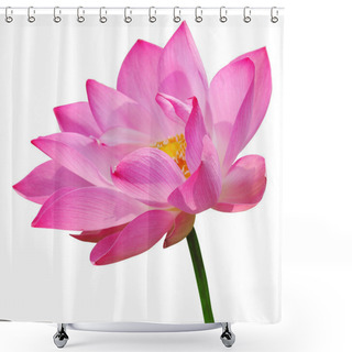 Personality  Pink Lotus Shower Curtains