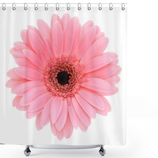 Personality  Pink Gerber Shower Curtains