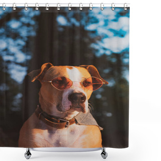 Personality  Retro Looking Portrait Of A Dog In Red Sunglasses Outdoors. Staffordshire Terrier Dog In Fancy Eyewear And A Bandana Shower Curtains