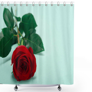 Personality  Close-up View Of Beautiful Red Rose Flower With Green Leaves On Blue Shower Curtains