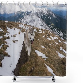 Personality  Husky Dog In Snowy Mountains   Shower Curtains