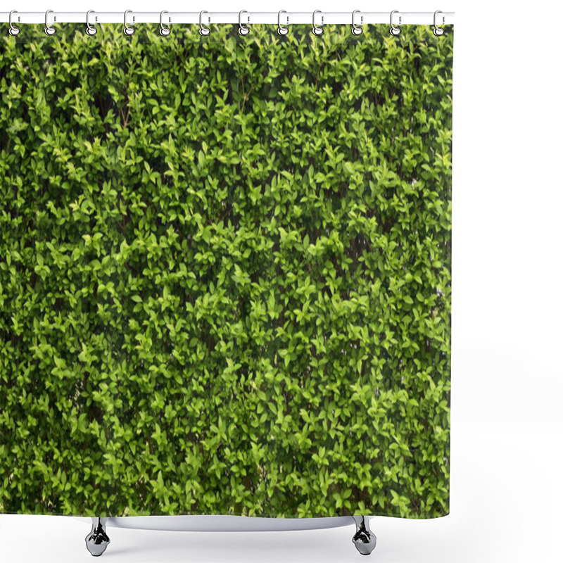 Personality  Green leaves shower curtains
