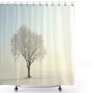 Personality  Lonely Winter Tree In The Morning Shower Curtains